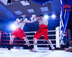 Вечер профессионального бокса "Гладиатор" 17 марта в Анапе.