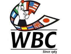 Обновился рейтинг WBC: возвращение Поветкина и Кудряшова, вылет Ковалёва