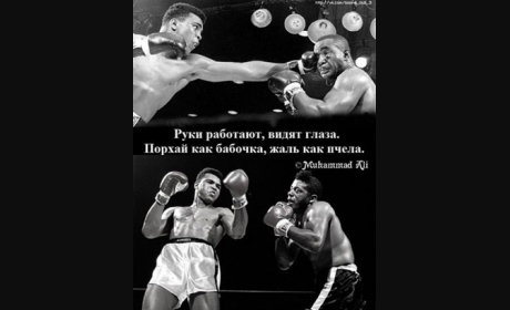 <a href="/%D0%BD%D0%BE%D0%B2%D0%BE%D1%81%D1%82%D0%B8-%D0%B1%D0%BE%D0%BA%D1%81%D0%B0/%C2%AB%D1%80%D1%83%D0%BA%D0%B8-%D1%80%D0%B0%D0%B1%D0%BE%D1%82%D0%B0%D1%8E%D1%82-%D0%B2%D0%B8%D0%B4%D1%8F%D1%82-%D0%B3%D0%BB%D0%B0%D0%B7%D0%B0-%D0%BF%D0%BE%D1%80%D1%85%D0%B0%D0%B9-%D0%BA%D0%B0%D0%BA-%D0%B1%D0%B0%D0%B1%D0%BE%D1%87%D0%BA%D0%B0-%D0%B6%D0%B0%D0%BB%D1%8C-%D0%BA%D0%B0%D0%BA-%D0%BF%D1%87%D0%B5%D0%BB%D0%B0%C2%BB"> «Руки работают, видят глаза. Порхай, как бабочка, жаль, как пчела»</a>